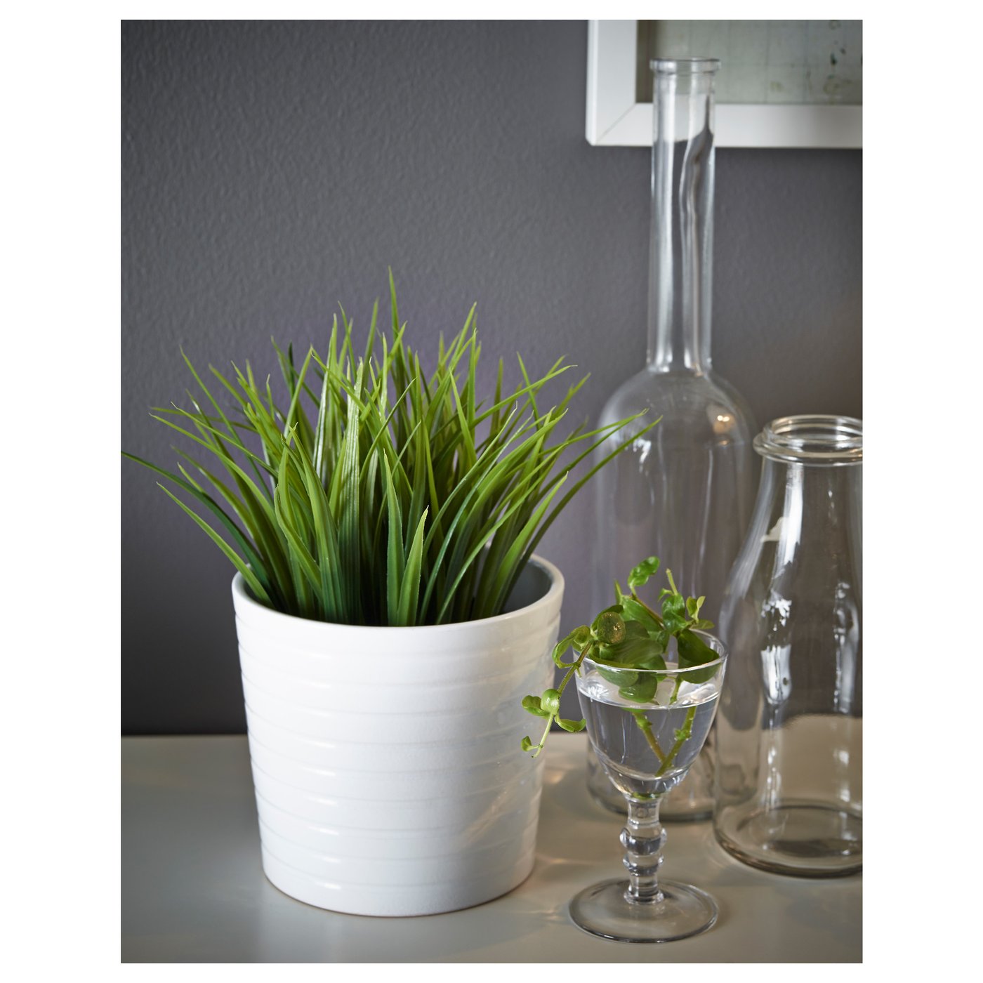 FEJKA フェイカ 人工観葉植物, 室内/屋外用 グラス, 9 cm - IKEA