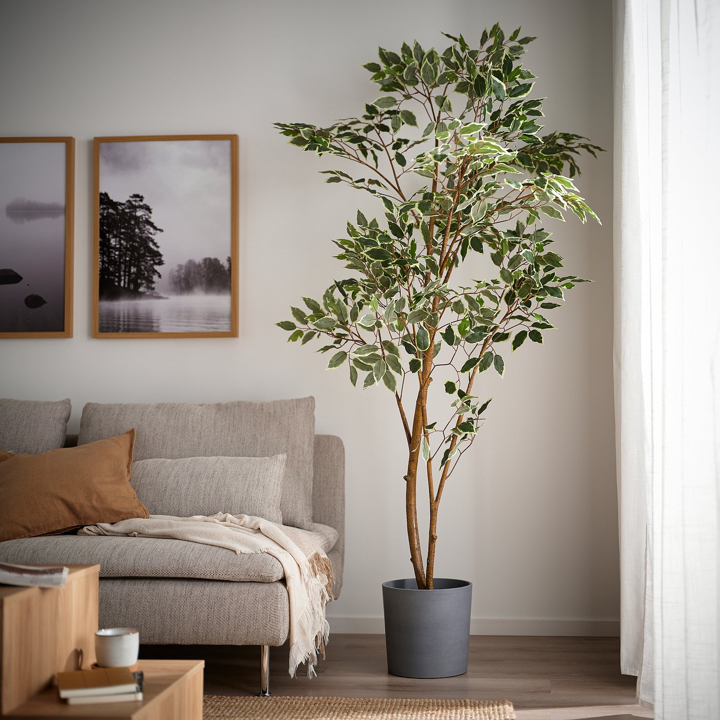 FEJKA フェイカ 人工観葉植物, 室内/屋外用/ベンジャミン, 23 cm - IKEA