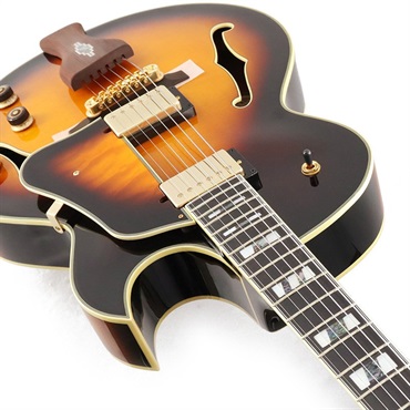 Ibanez Artcore Expressionist AF95-BS ｜イケベ楽器店オンラインストア