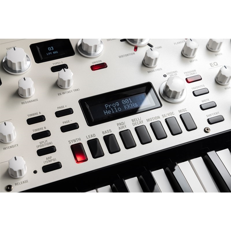 KORG KingKORG NEO ｜イケベ楽器店オンラインストア