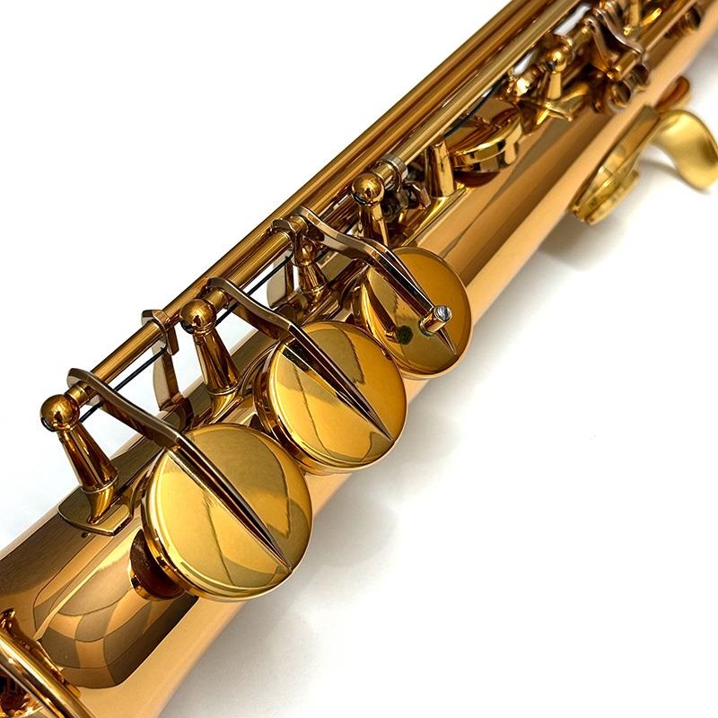 Wood Stone USED 中古 ソプラニーノサックス ウッドストーン WSSN-GL S