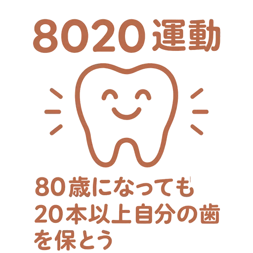 80歳になっても自分の歯で食べるために 〜8020運動って知っていますか