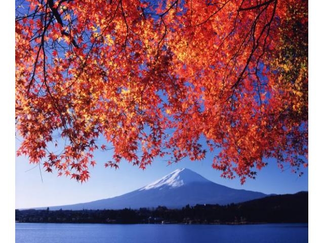 富士河口湖紅葉まつり】アクセス・イベント情報 - じゃらんnet