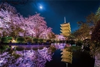 YAM-10-1299 KAGAYA 月夜に咲く（京都） 1000ピース ［CP-SK
