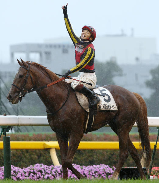 ◎ダービー制し、2冠達成 競馬のクラシ…：奇跡の馬 オルフェーヴル