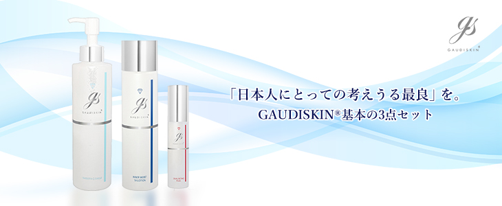 ガウディスキン3点セット 一落札の在庫 ガウディスキン 3点セット