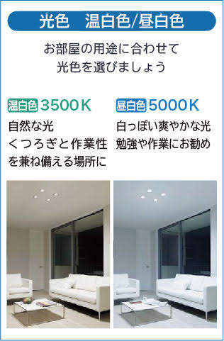 DAIKO 大光電機 LEDダウンライト DDL-6132AW | 商品紹介 | 照明器具の