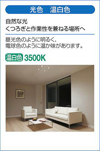 DAIKO 大光電機 スポットライト DSL-4901ABG | 商品紹介 | 照明器具の