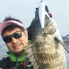 Lucky Craft JAPAN - CHINU Sammy