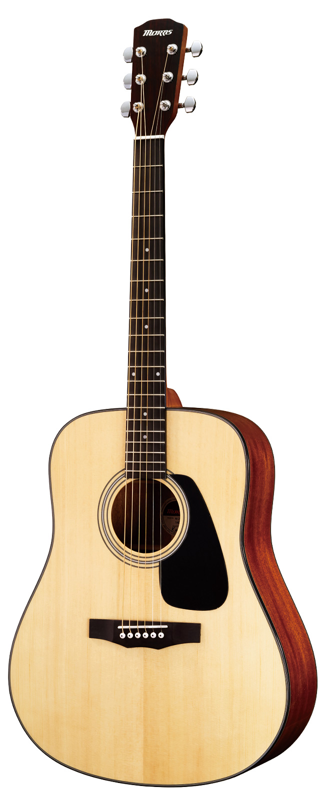 M-251 | 生産完了品 | MORRIS GUITARS モーリスギター