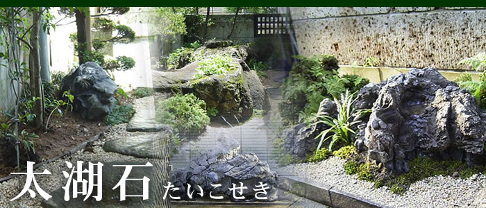 太湖石 景石 銘石 庭石 自然石 希少 穴あき石 横長 110cm 鑑賞石 [現物