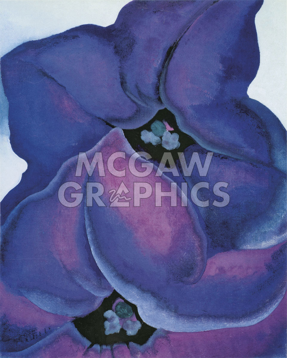 Purple Petunias, 1925 | McGaw Graphics