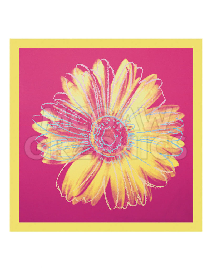 Daisy, c.1982 (fuchsia & yellow) | McGaw Graphics