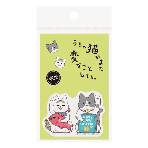 MDS BtoB |#エムプラン ステッカー ステッカー うちの猫がまた変なこと