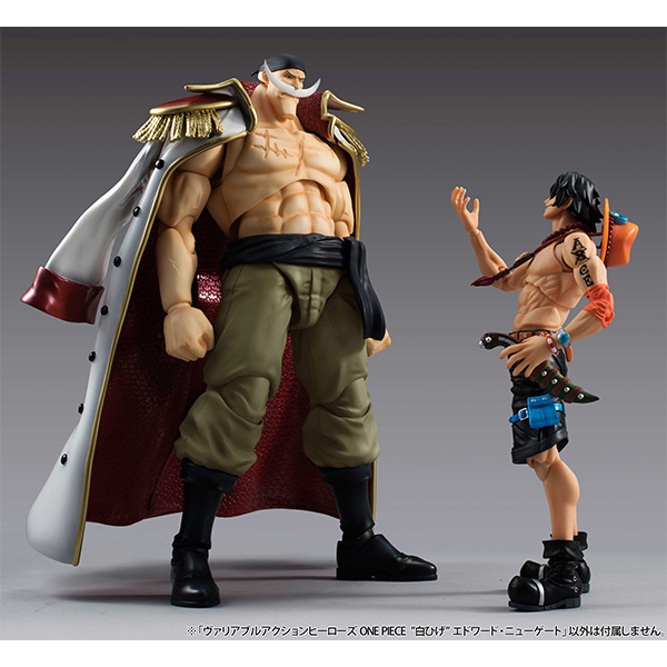 ONE PIECE ”白ひげ” エドワード・ニューゲート | メガホビ MEGAHOBBY
