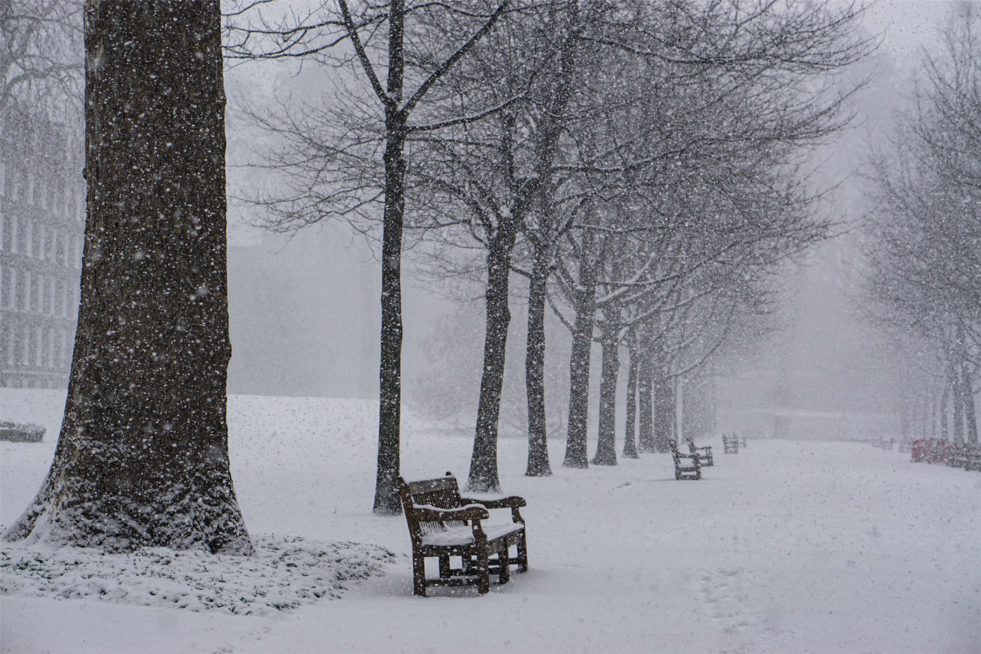 Cold Storage Quality in Cold Weather - Minnesota Freezer Warehouse Co.
