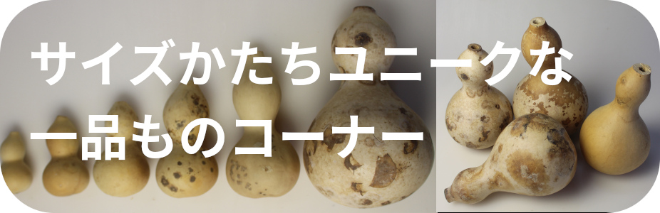 瓢箪・ひょうたん・ヒョウタン販売。乾燥した素材。ハワイアン