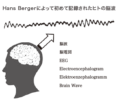 テクニカルノート：数式を用いない 脳波解析入門
