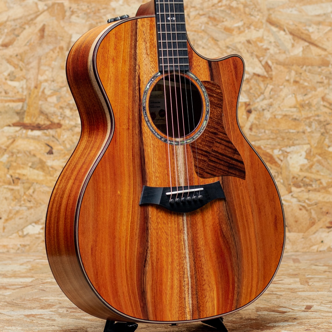TAYLOR（テイラー）600/700/800シリーズ 一覧 | 三木楽器公式通販