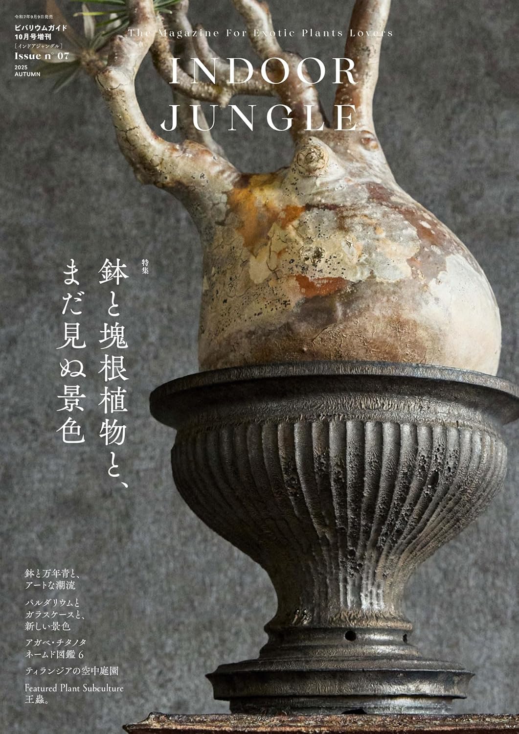 INDOOR JUNGLE Issue.07 ｜ エムピージェー