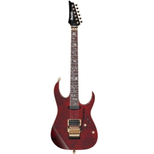 Ibanez Artwood AW250 – LG 6 String Acoustic Guitar - Musicians Cart