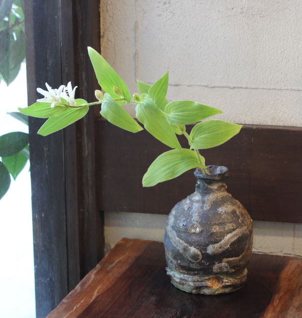 商品詳細｜備前焼、伊賀焼、織部、志野などの陶器通販｜やきもの長縄