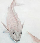 中村左洲/Web書画ミュージアム/長良川画廊