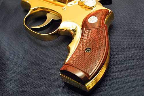 GUN