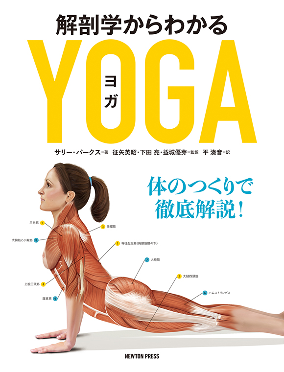 解剖学からわかるヨガ 〜体のつくりで徹底解説！〜 | ニュートンプレス