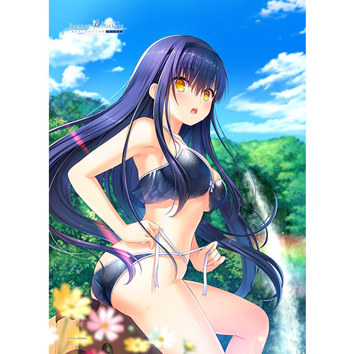 Summer Pockets REFLECTION BLUE B2 タペストリー (久島鴎 / ビキニ
