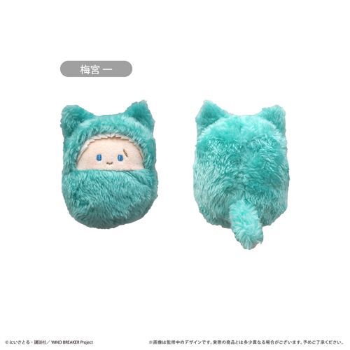 WIND BREAKER くるみたぴぬい BOX グッズ - Neowing