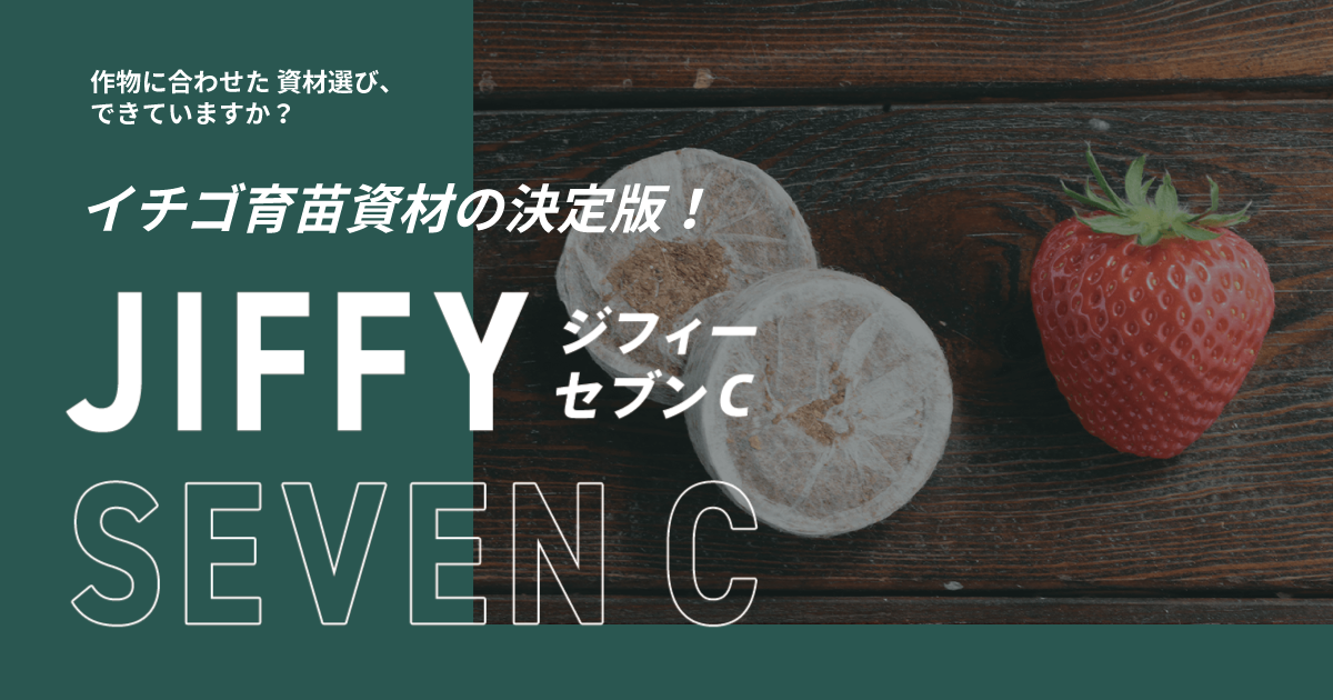 イチゴ育苗資材の決定版！ジフィーセブンC｜サカタのタネ