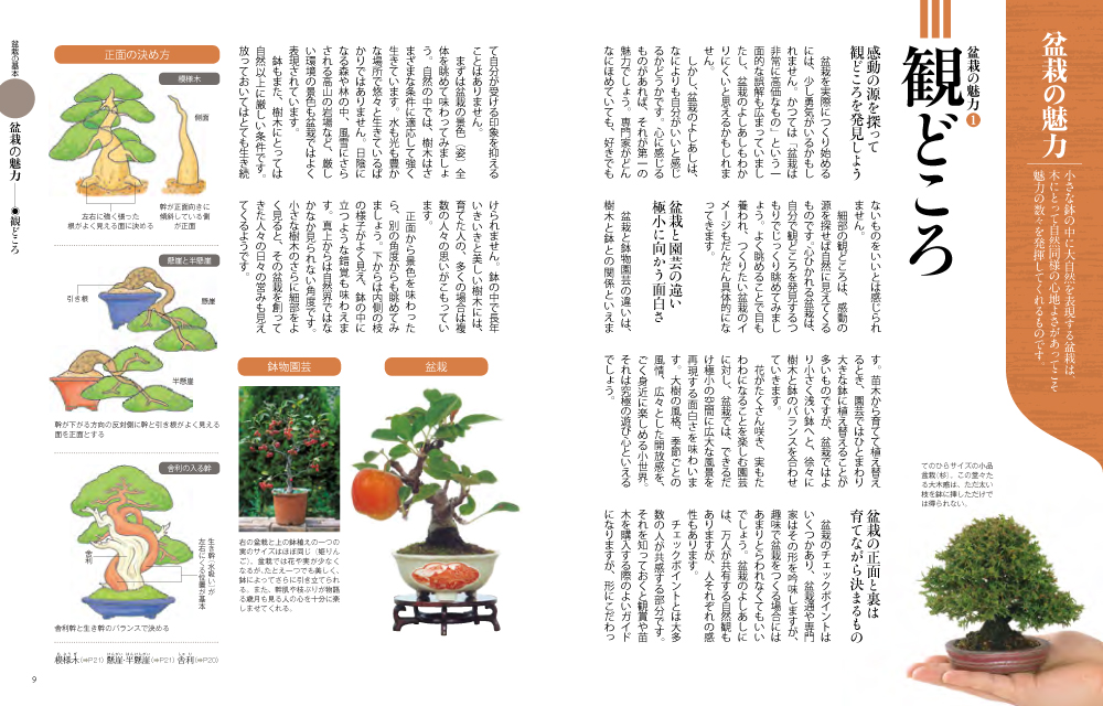 写真でわかる盆栽づくり｜西東社｜『人生を楽しみ・今を楽しむ』実用書