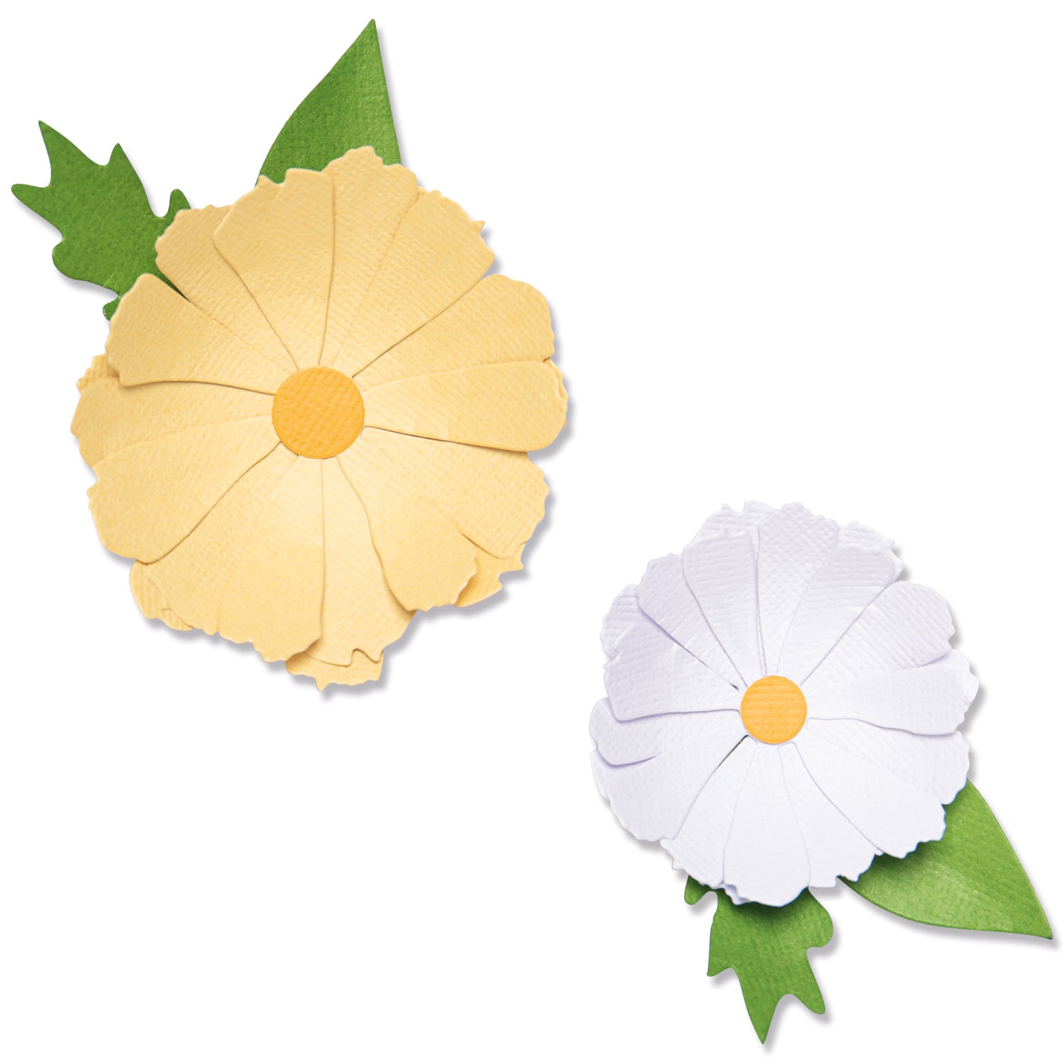 Sizzix Thinlits Die Set 8PK - Daisy Flower Mix – Sizzix.com