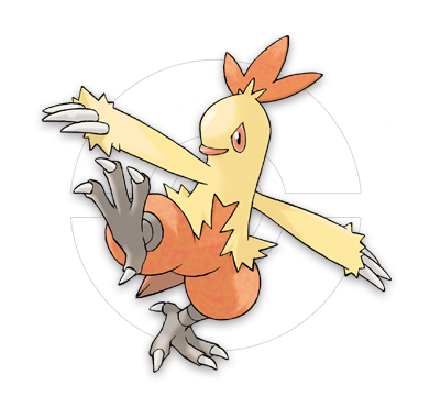 ワカシャモ | 『ポケットモンスター オメガルビー