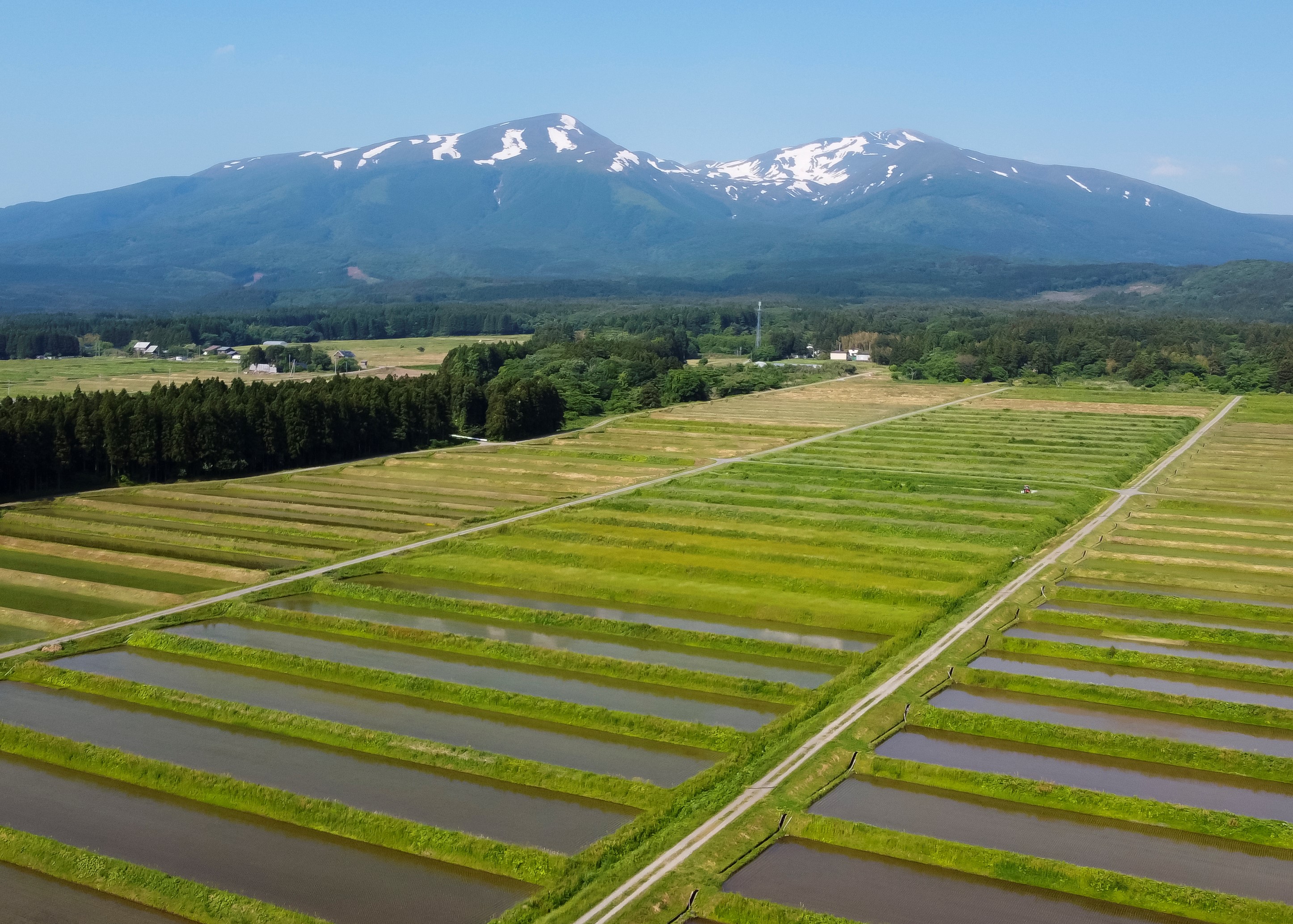 やまがたの棚田カード | 山形県