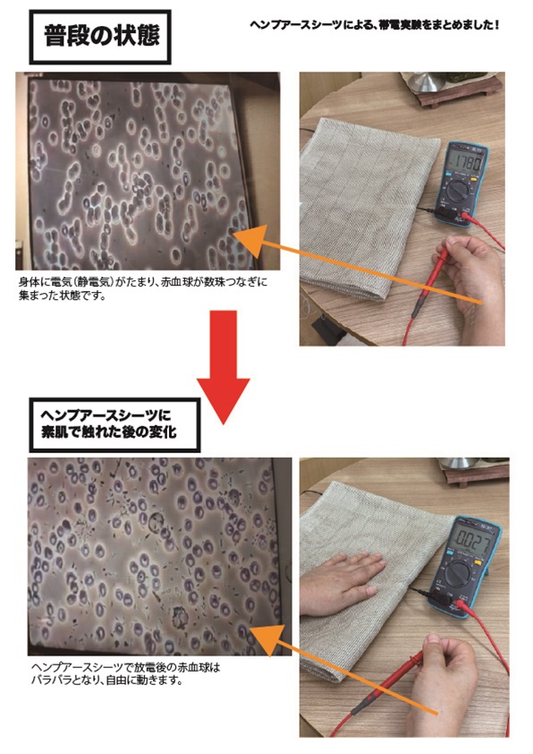 楽天市場】ヘンプファイバーピロー&ヘンプアースピローカバーセット