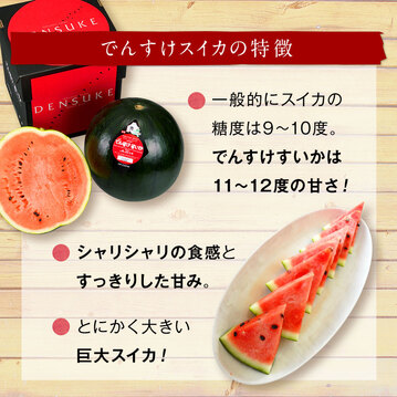 スイカ でんすけすいか 北海道 当麻産 8～10kg×1玉(3Lサイズ)【送料