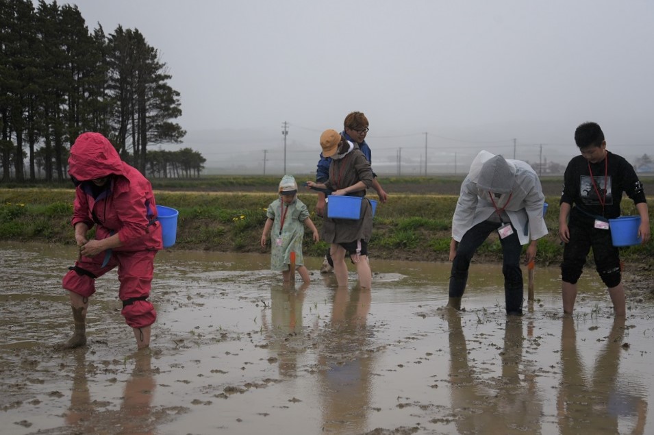 雨にも負けず田植え体験ツアー｜JAそらち南青年部 - 栗山町公式