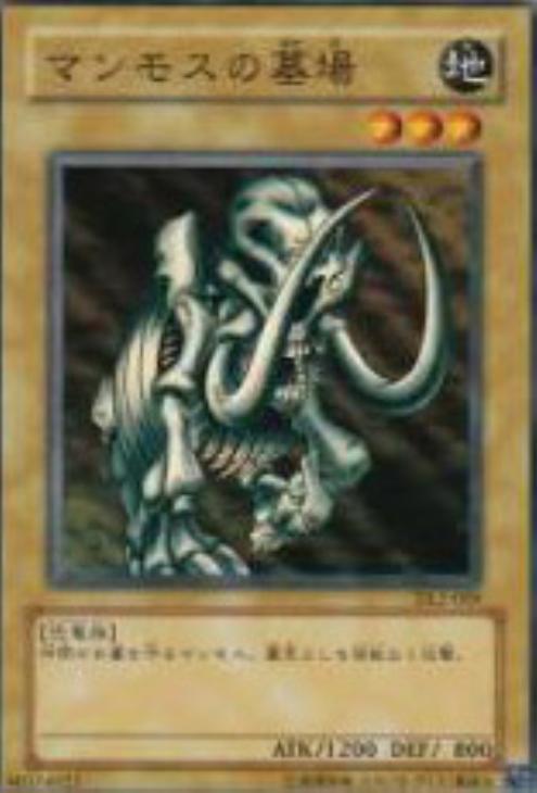 マンモスの墓場【遊戯王トレカ高価買取価格査定：CBトレコロ】