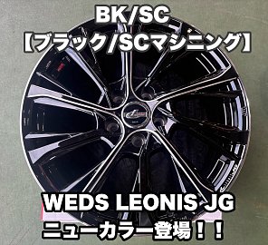 LEONIS(レオニス)JG】ニューカラー登場！！！【BK/SC ブラック/SC