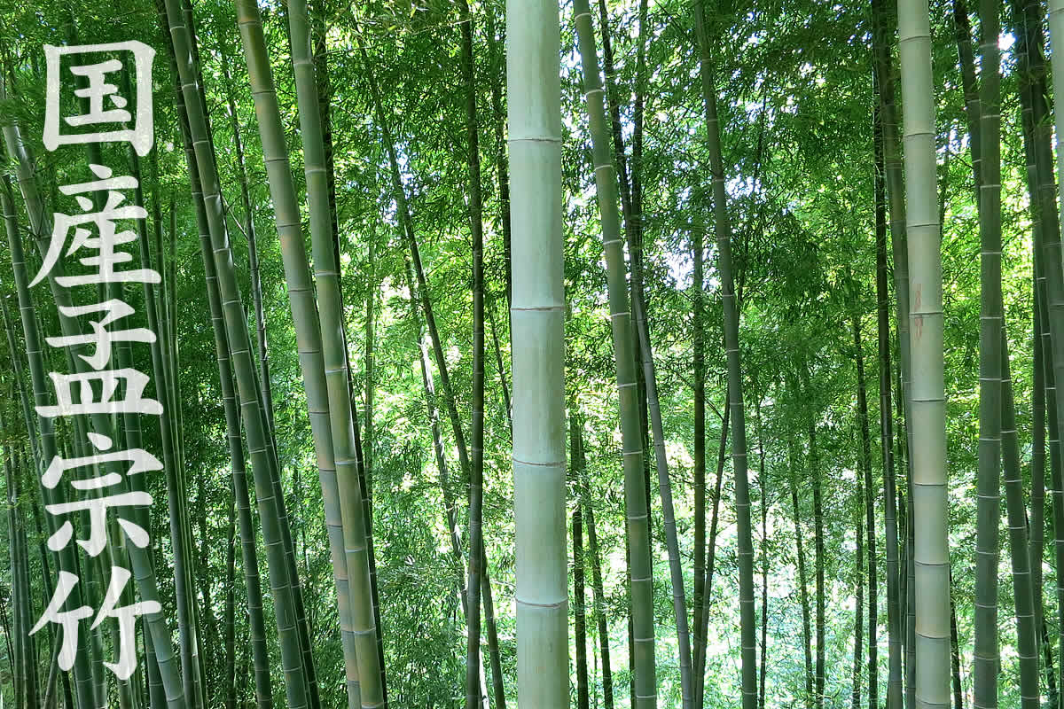 浄水用】最高級竹炭粒（15mm）1kg入り【国産】昔ながらの土窯づくり