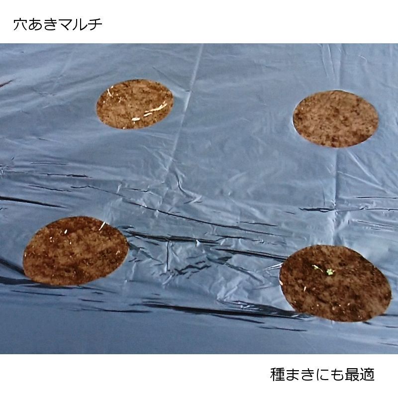 ホールマルチ】タマネギ用マルチ【黒】【5条用】（95cm×200m）穴の間隔