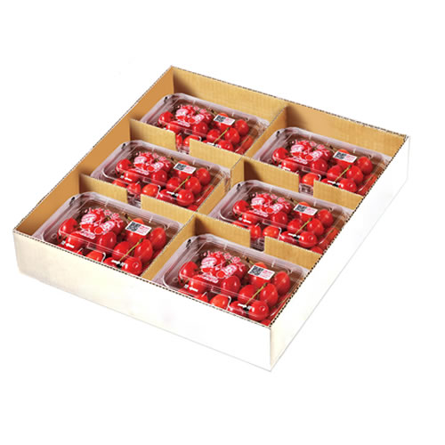 さくらんぼ｜天の童｜JAてんどうフーズ通信販売