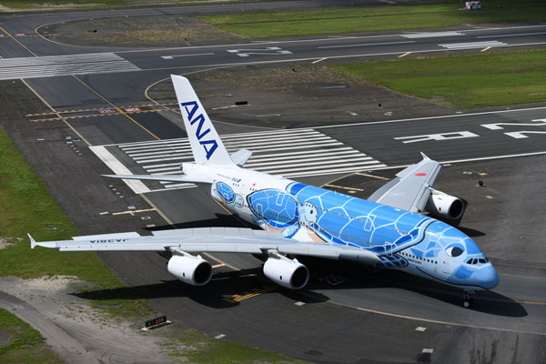 ANA A380「フライング・ホヌ」就航5周年 くす玉とケーキで“誕生日