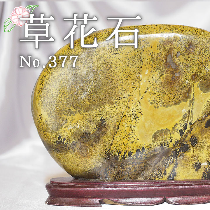 No377thum.jpg