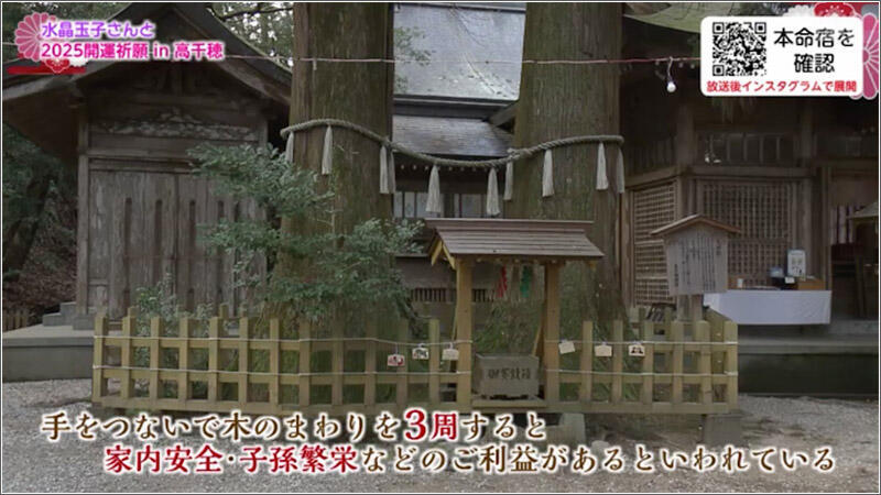 2025年 高千穂で開運祈願！水晶玉子さんに聞く「揺れる年」の開運術