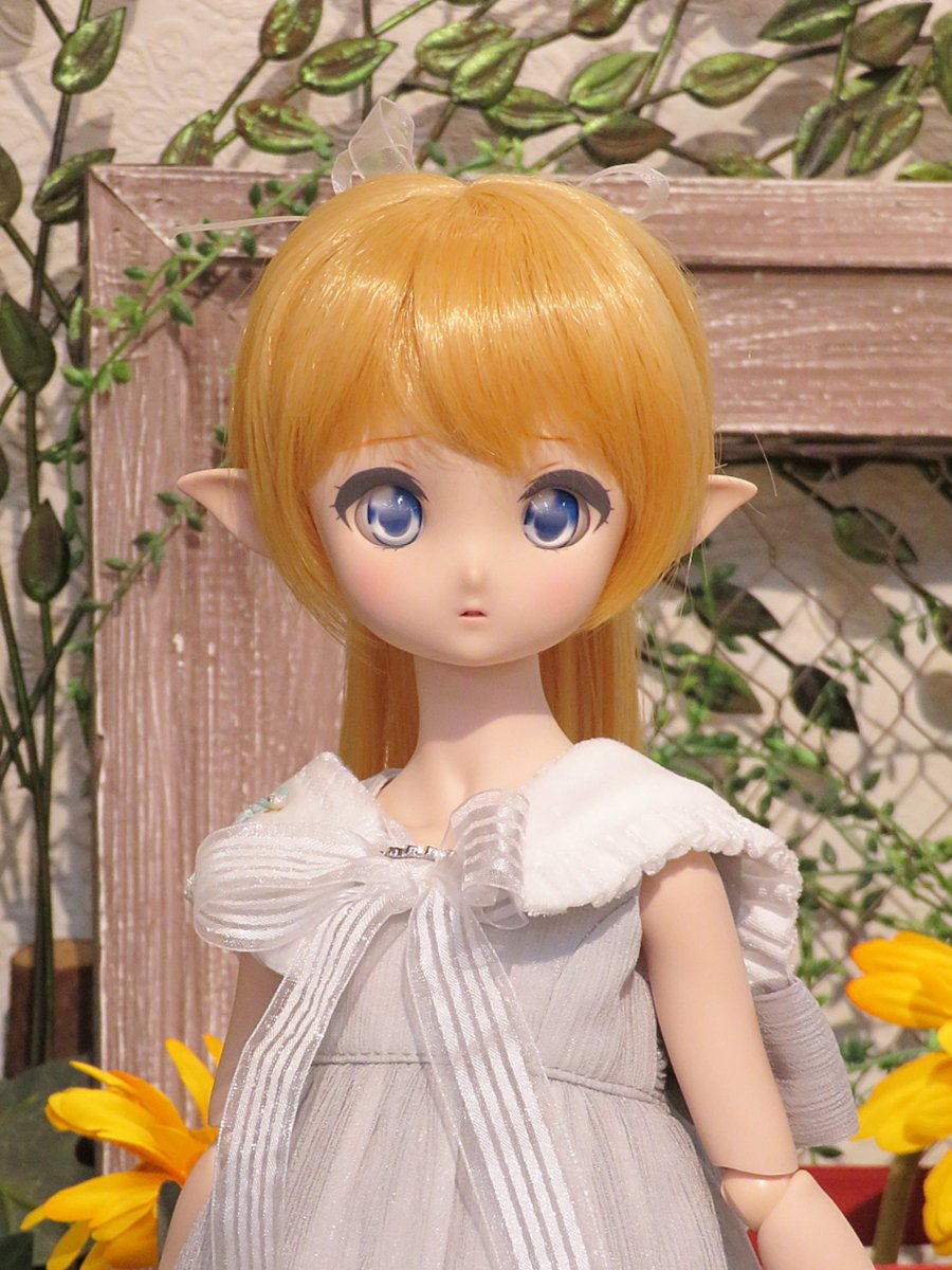 DDドリームチョイス ヘッド紹介 DC-H-20編♪ | ドールポイント大阪