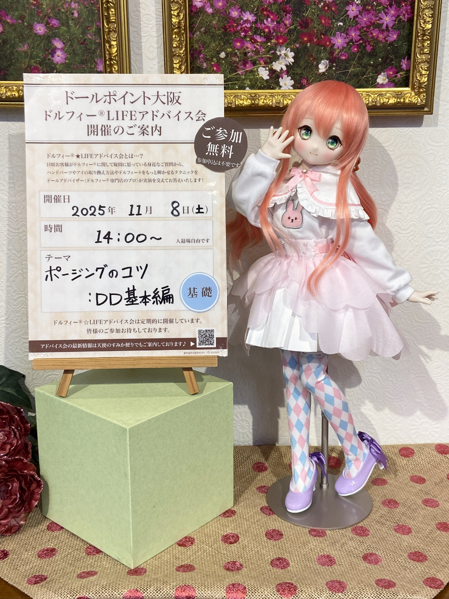 11月8日（土）開催！】「ドルフィー®☆LIFEアドバイス会 inドール