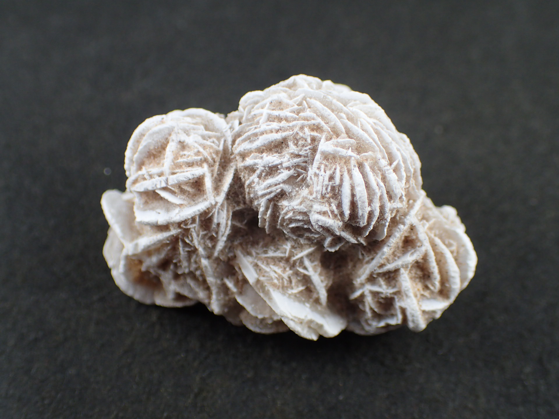 砂漠の薔薇（デザートローズ） モロッコ・サハラ砂漠 産 ｜石の販売